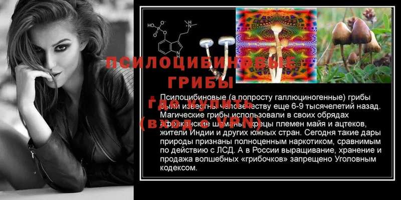 Галлюциногенные грибы Psilocybine cubensis  где купить наркоту  Абинск 